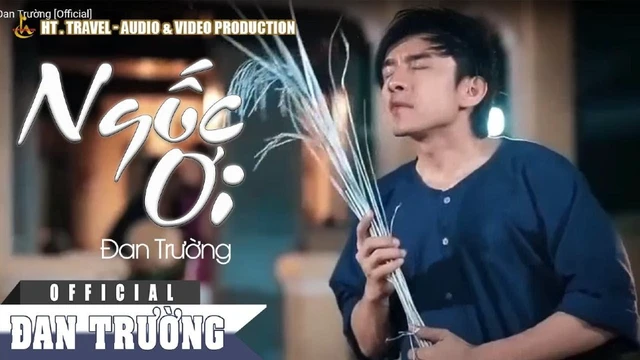 Ngốc Ơi - Đan Trường [Official]