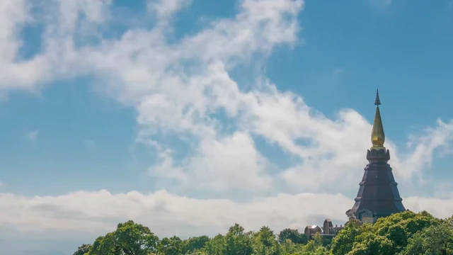 Từ Nay Học Tu Nương Đạo Vàng l Ưng Hoàng Phúc