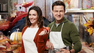 Tìm Chàng Độc Thân