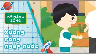 Kỹ năng sống cho bé - Xương rồng ngập nước