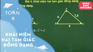 Môn Toán Lớp 8 - Hình học: Khái niệm hai tam giác đồng dạng