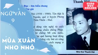 Môn Ngữ Văn Lớp 9 - Mùa xuân nho nhỏ