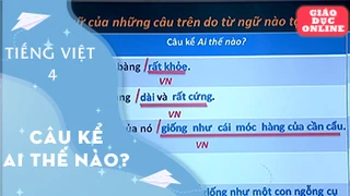 Môn Tiếng Việt Lớp 4 - Luyện từ và câu. Câu kể: Ai thế nào?