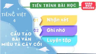 Môn Tiếng Việt Lớp 4 - Tập làm văn: Cấu tạo bài văn miêu tả cây cối