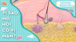 Vì sao mồ hôi có vị mặn?