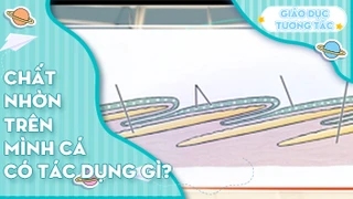 Chất nhờn trên mình cá có tác dụng gì?