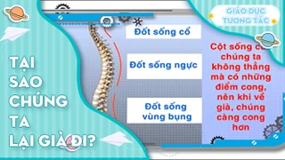 Tại sao chúng ta lại già đi?