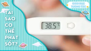 Tại sao cơ thể phát sốt?