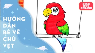 Cùng vẽ và tô màu một chú vẹt