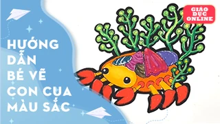 Vẽ và tô màu con cua nhiều màu sắc
