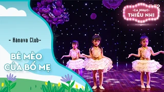 Bé mèo của bố mẹ 