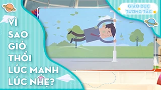 Vì sao gió thổi lúc mạnh lúc nhẹ?