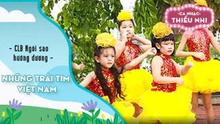 Ca khúc Những trái tim Việt Nam - Biểu diễn CLB Ngôi sao hướng dương
