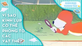 Vì sao kính lúp có thể phóng to các vật thể?