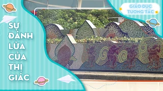 Sự đánh lừa của thị giác