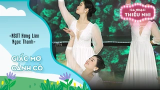 Ca khúc Giấc mơ cánh cò - Biểu diễn NSƯT Hồng Liên và Ngọc Thanh 