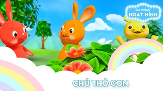 Ca khúc Chú thỏ con