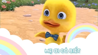 Ca khúc Mẹ ơi có biết