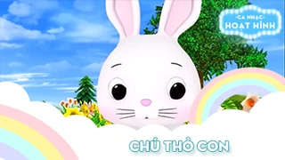 Ca khúc Chú thỏ con