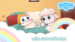 Ca khúc Mèo con lười học