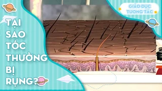 Tại sao tóc thường bị rụng?