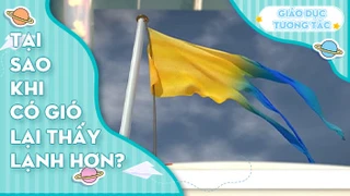 Tại sao khi có gió lại thấy lạnh hơn?