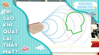 Tại sao khi quạt lại thấy mát?