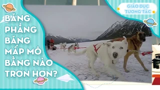 Băng phẳng băng mấp mô, băng nào trơn hơn?