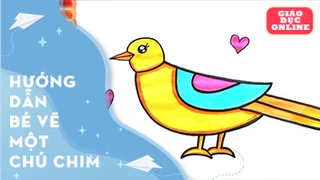 Hướng dẫn bé vẽ một chú chim