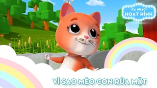 Ca khúc Vì sao mèo con rửa mặt