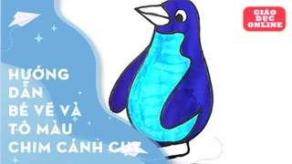 Hướng dẫn bé vẽ và tô màu chim cánh cụt