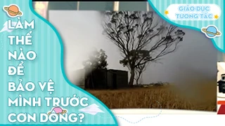 Làm thế nào để bảo vệ mình trước cơn dông?