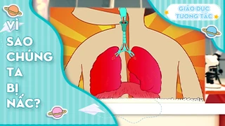 Vì sao chúng ta bị nấc?