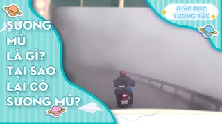 Sương mù là gì? Tại sao lại có sương mù?