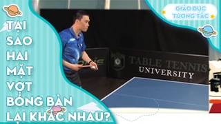 Tại sao hai mặt vợt bóng bàn lại khác nhau?