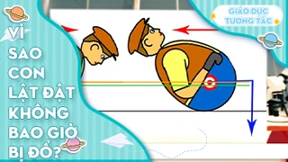 Vì sao con lật đật không bao giờ bị đổ?