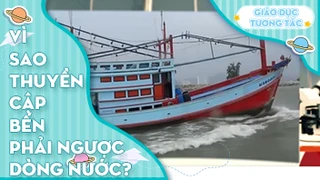 Vì sao thuyền cập bến phải ngược dòng nước?