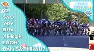 Vì sao vận động viên đua xe đạp luôn bám sát nhau?