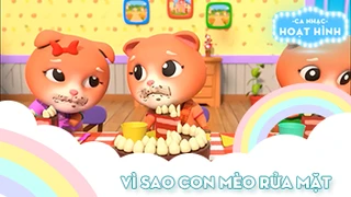 Ca khúc Vì sao con mèo rửa mặt