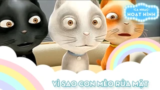 Ca khúc Vì sao con mèo rửa mặt