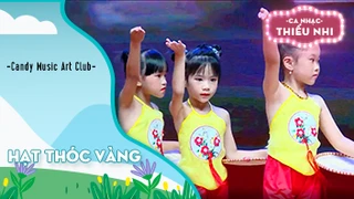 Ca khúc Hạt thóc vàng - Biểu diễn Candy Music Art Club