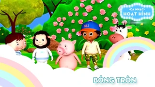 Ca khúc Bóng tròn