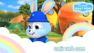 Ca khúc Chú thỏ con