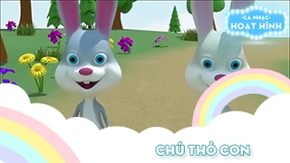 Ca khúc Chú thỏ con