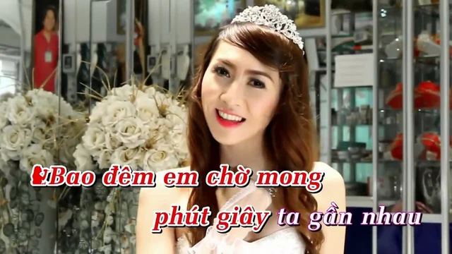 TRĂM NĂM HẠNH PHÚC - TRƯỜNG SƠN ft KIM THƯ (karaoke)