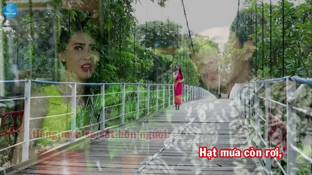 LK TÌNH YÊU 4 - CA SĨ TRƯỜNG SƠN (karaoke)