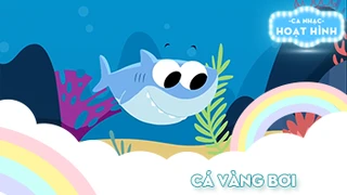 Ca khúc Cá vàng bơi