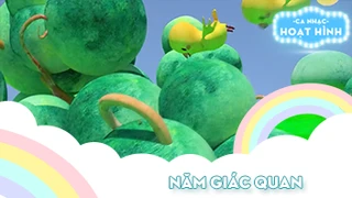 Ca khúc Năm giác quan