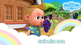 Ca khúc Chú mèo con