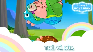 Ca khúc Thỏ và rùa